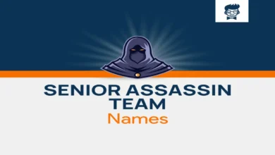 Senior Assassin Team Names