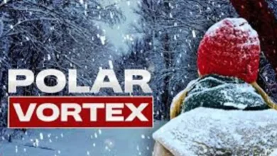 Florida Freeze Warning Polar Cold