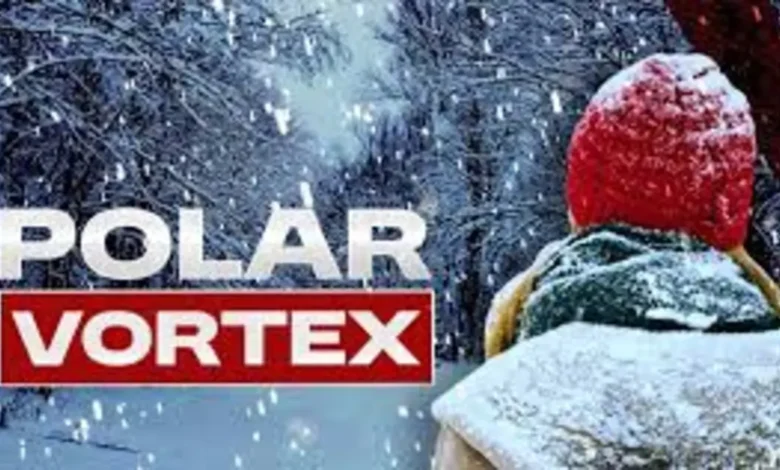 Florida Freeze Warning Polar Cold Front Brings Rare Frost to the Sunshine State Florida Freeze Warning Polar Cold